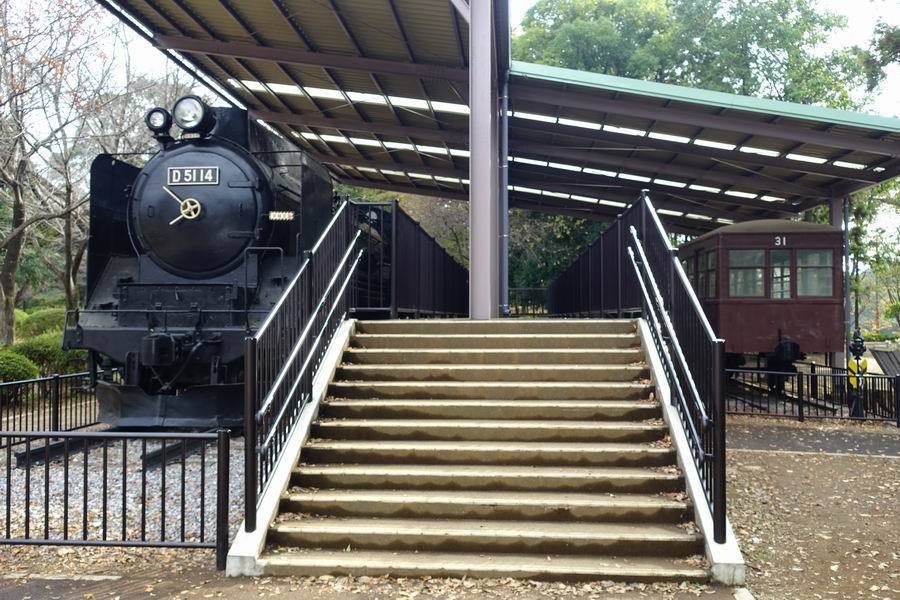 D51 14:流山市総合運動公園: コバQのデジカメ歩き D51 14:流山市総合運動公園: コバQのデジカメ歩き