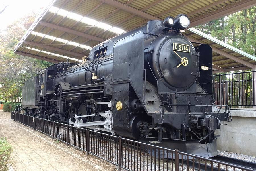 D51 14：流山市総合運動公園: コバQのデジカメ歩き