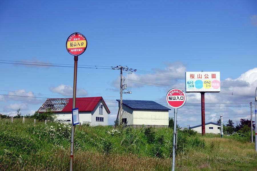 C58 98：深川市桜山公園: コバQのデジカメ歩き